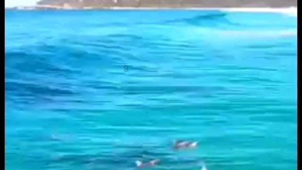丰田卡车找不同